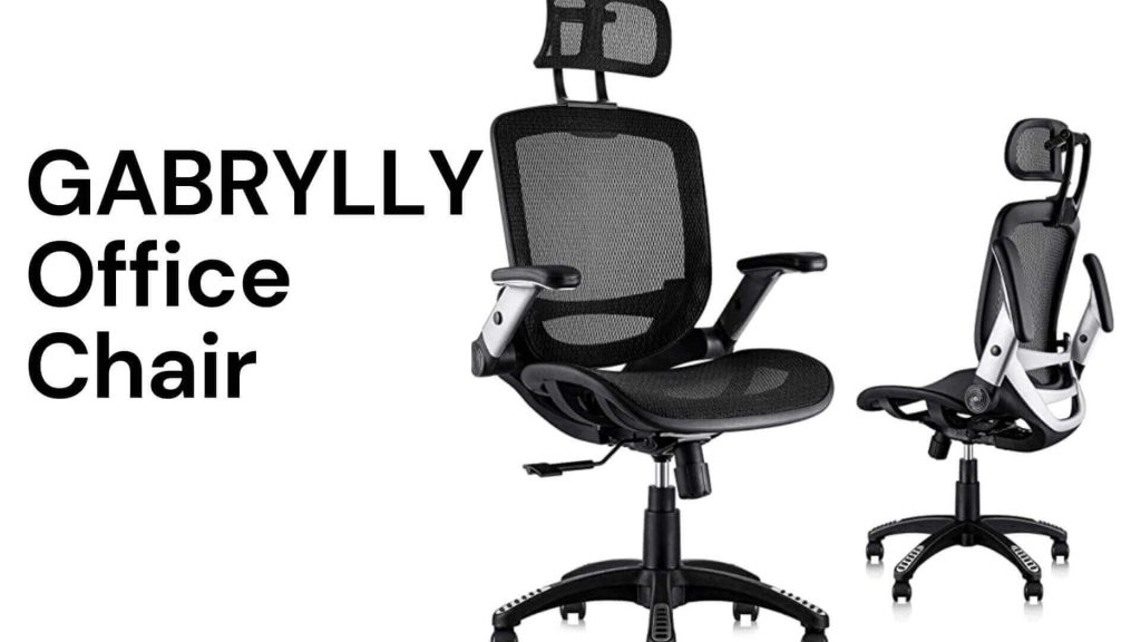 GABRYLLY Office Chair
