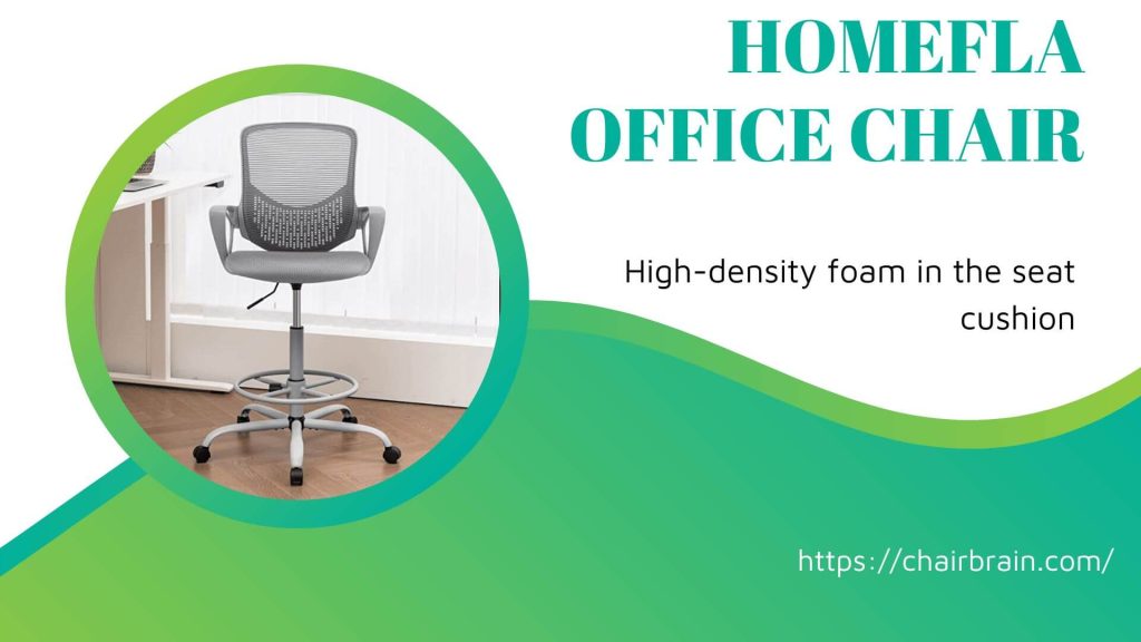 HOMEFLA Office Chair