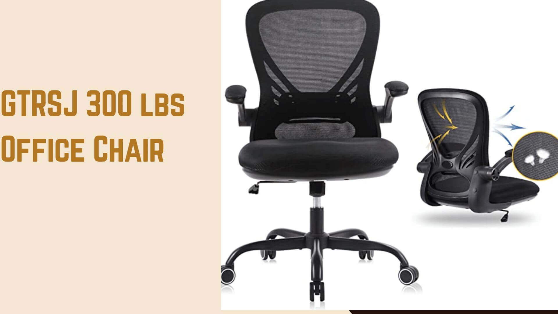 GTRSJ 300 lbs Office Chair 