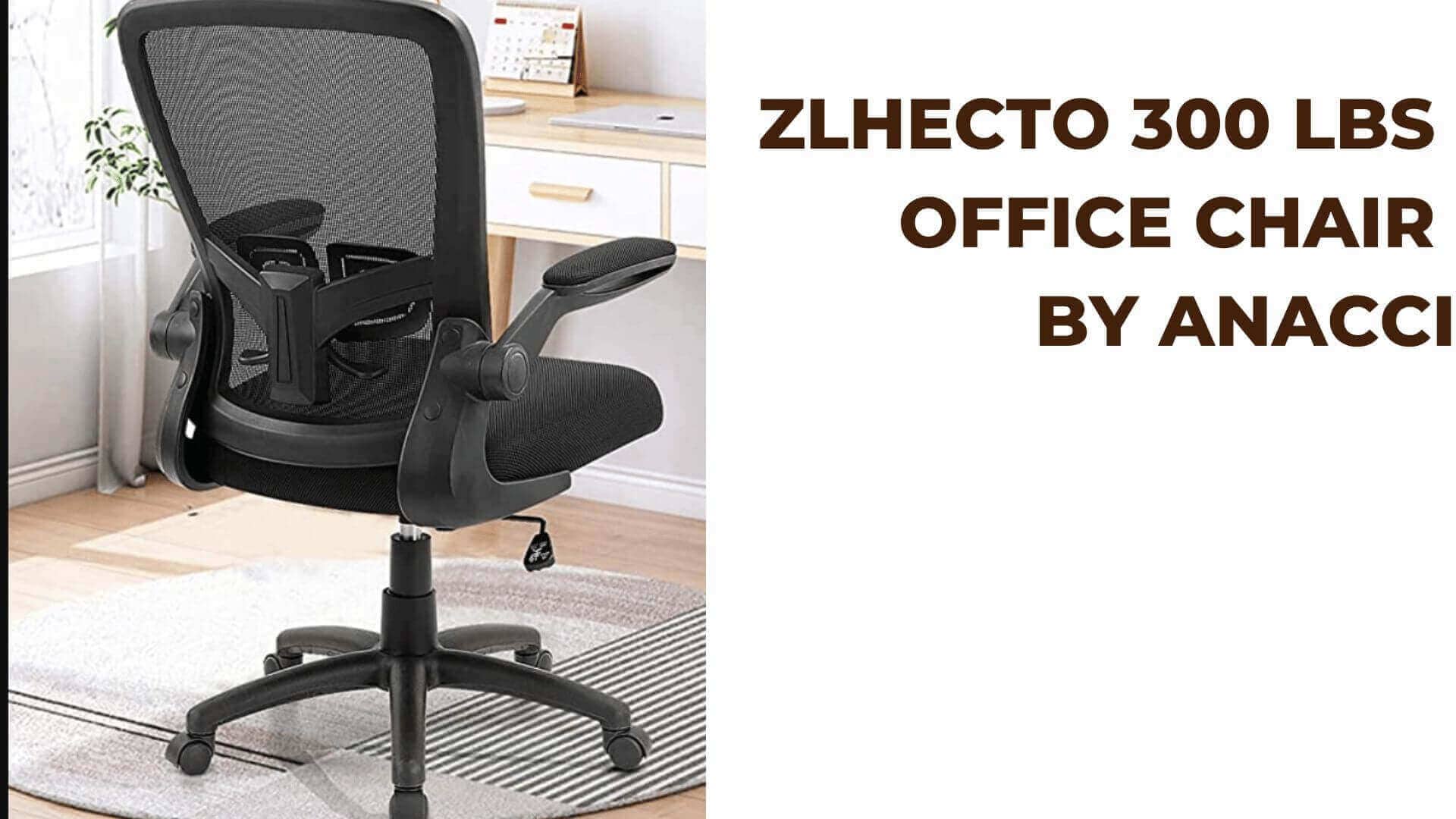 ZLHECTO 300 lbs office chair by ANACCI